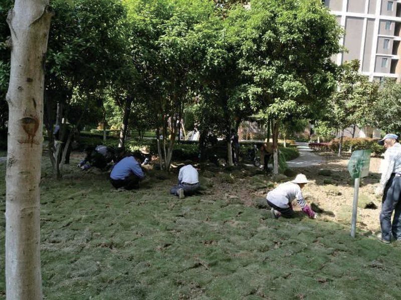 园林改造施工